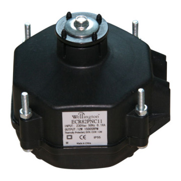 ECR Plastic Housing Brushless DC Motor Manufacturer