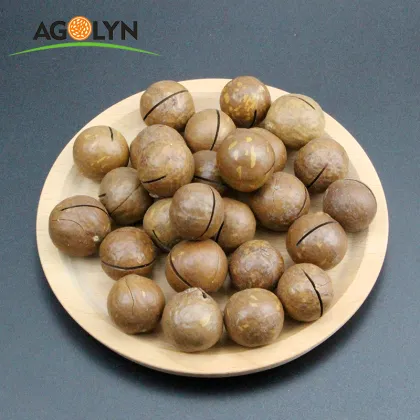 Yunnan Original and Cream Flavor Roasted Macadamia nuts