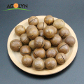 Yunnan Asal dan Krim Rasa Roasted Macadamia Nuts
