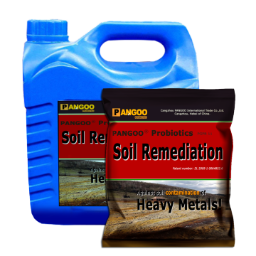 PGPB 11 Heavy Metal Soil Remediation