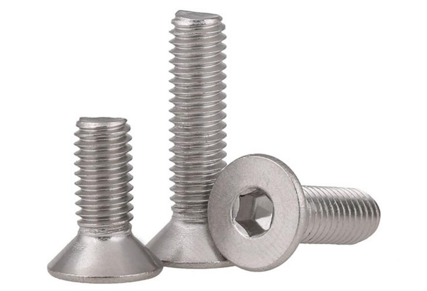 Countersunk stainless steel screw (1)