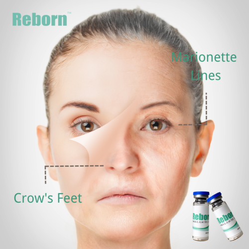 Reborn Age Restore Derderal Filler pour les lignes de marionnette