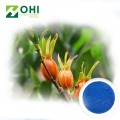 Serbuk ekstrak gardenia semulajadi
