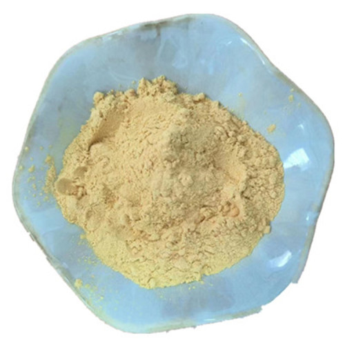 Free Sample Mustard Seed Extract Powder