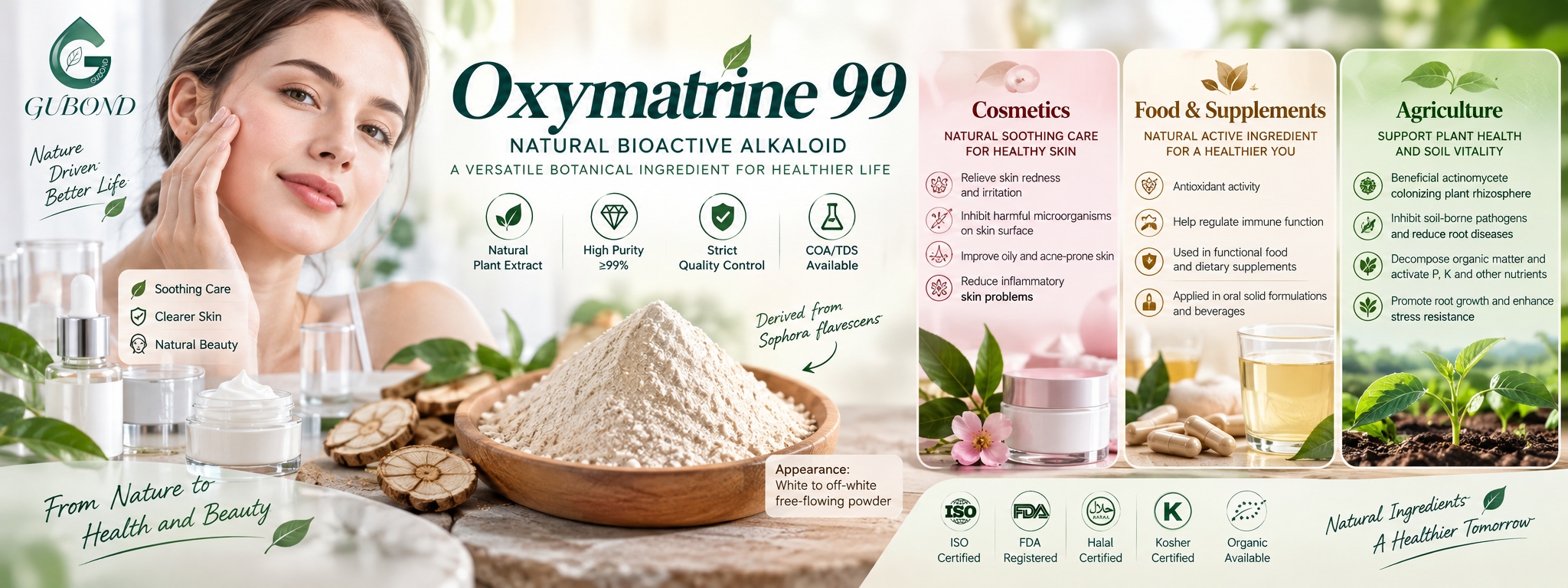 Oxymatrine 99 (7)