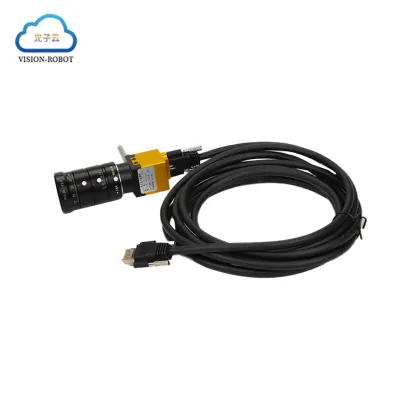 Guaranteed Quality Unique Industrial Intelligent Miniature Camera for Robot Vision