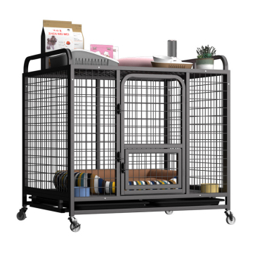 Durable Metal Poultry Husbandry Equipment for Layers and Pet Kennels