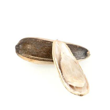 frito lay sunflower seeds