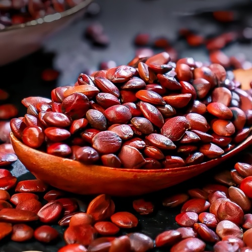 Spine Date Seed for Calming Herbal Use