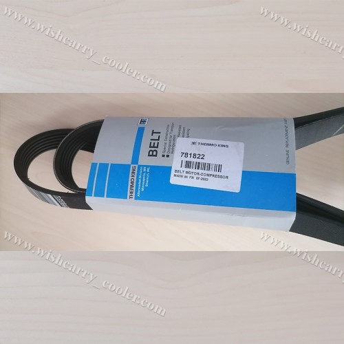 781822 Thermo King Original - Motor/eixo de macaco para compressor (2/13 e depois), T680P/880P/T600M/600R/800M/800R