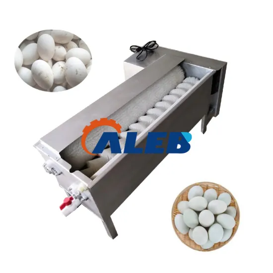 Small Business Guide: Finding the Right Egg Washing Machine