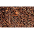 Natural Pine Needles Extract