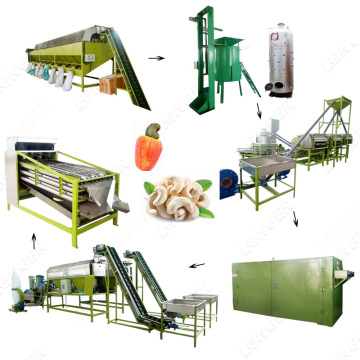 China Manufacturer Full Grading Steaming Peeling Shelled Cashew Nut Machine Production Line