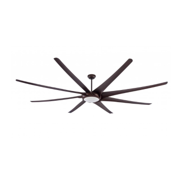 Ceiling fan for both winter and summer
