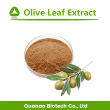 Natural Olive Leaf Extract Powder Price