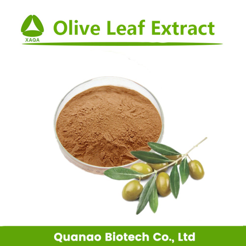 Preço de extrato de folha de oliva natural