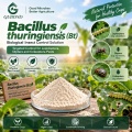 Bacillus thuringiensis (Bt) مسحوق مبيد حشري ميكروبي للزراعة