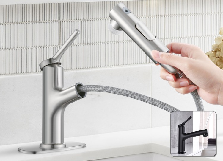 brushed nickel pull out faucet