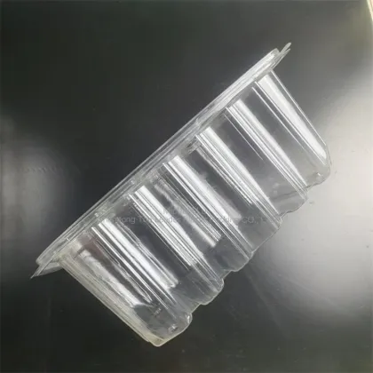 transparent PET Thermoforming Container Room temperature