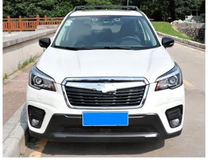 SUBARU Forester Rearview Mirror Caps - Automotive Parts Mirror Covers