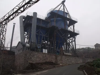 Spirulina microalgae LPG high speed centrifugal spray dryer