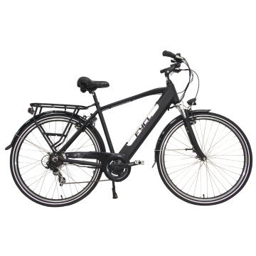250W, 36V/48V या 750W मोटर के साथ उच्च गुणवत्ता वाले 700C एल्यूमीनियम इलेक्ट्रिक माउंटेन बाइक-FYE-MTB06