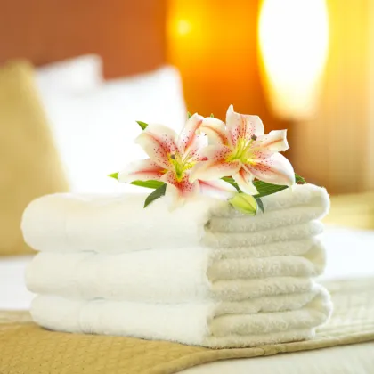 Pure bamboo face towel