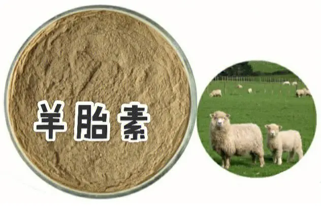 sheep placenta extract supplier