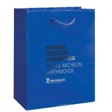 Custom Paper bags with Ribbon Handles