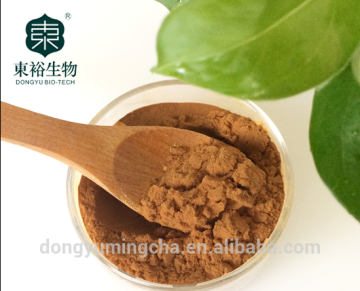Natural organic Green Tea Extract 98% tea polyphenols high quality