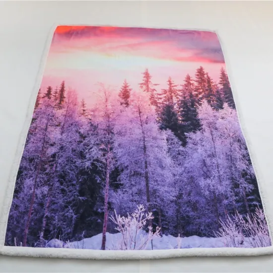 Wholesale sherpa Plush Soft Warm Fleece custom blanket with print winter blankets 2 ply