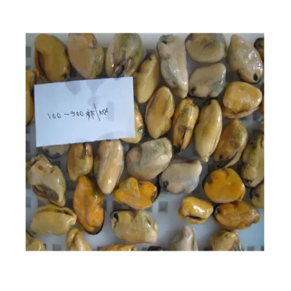 new season blue mussel mussel product detail good quality blue mussel detail