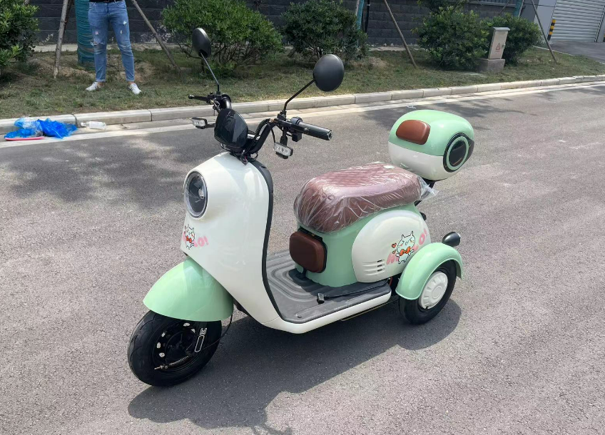 Small Style Electric Trike