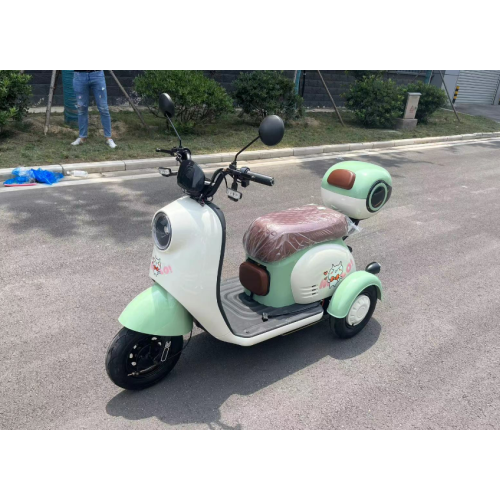 Electric passenger tricycle Cargo Electric Vehicle