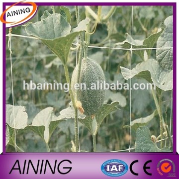 Plant Support Netting