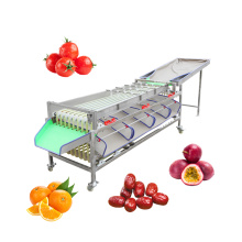 Cable Track Sorting Vegetables and Fruits Machine
