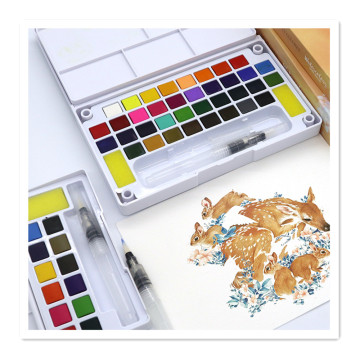 Kit di verniciatura ad acquerello portatile: colori premium per artisti per principianti
