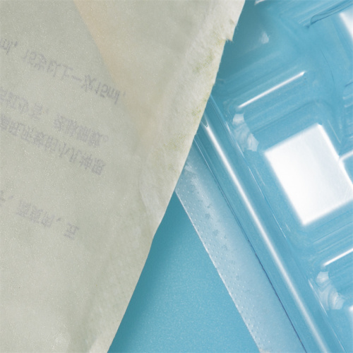 Tray Plastic Blisters for Medical Instruments Packaging