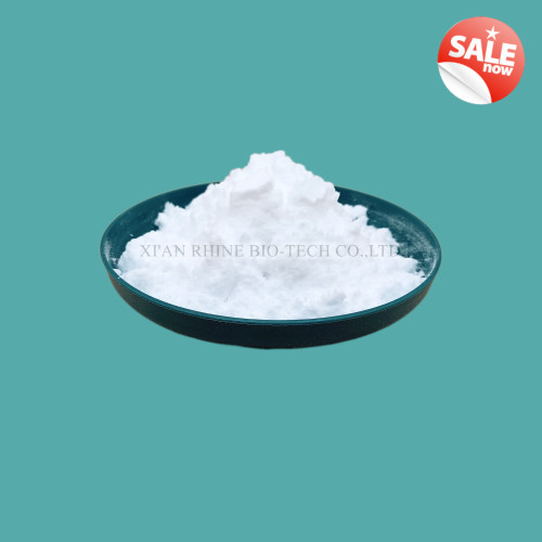 Supplement Creatine Monohydrate Powder CAS 6020-87-7