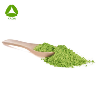 Pure High Mesh Green Tea Matcha Powder