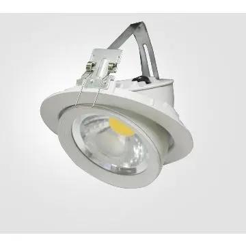 LED Gimbal Downlights 10W,20W,30W,COB LED, rotatable angle