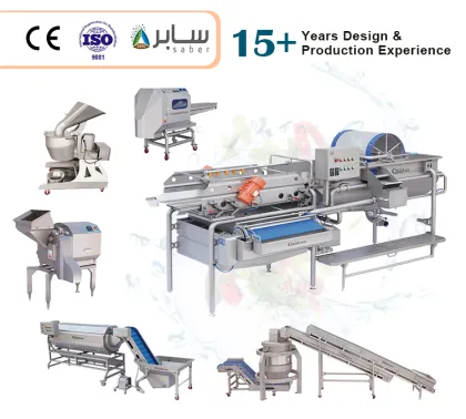 Plantain Chips Cutting Machine