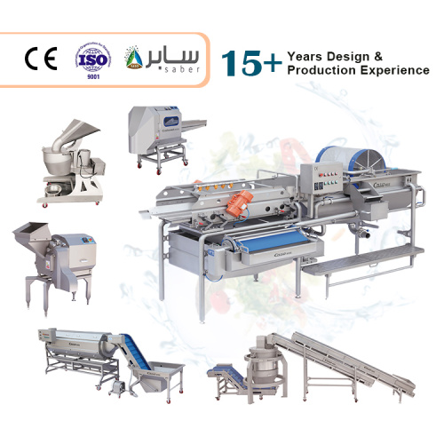 Plantain Chips Cutting Machine