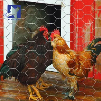 China Direct Factory Galvanized Hexagonal Wire Netting