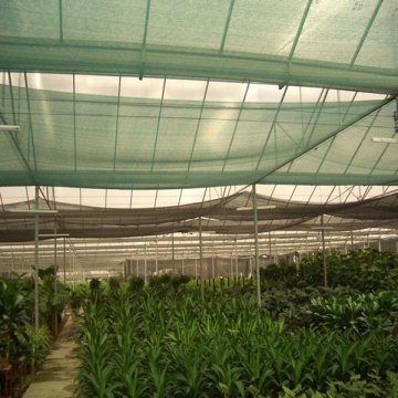 HDPE sunshade net (manufacture)