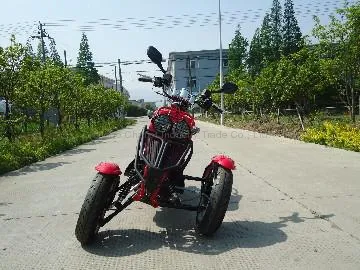 Three Wheels Motorcycle