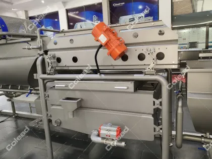 Fresh Cut Vegetable Washing Machine for processing line