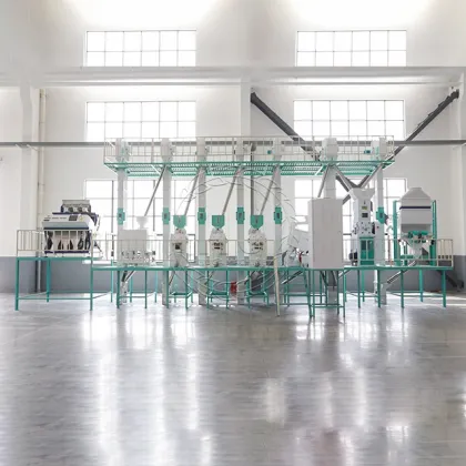 Large Scale Rice Mill and Processing Machines for Sale