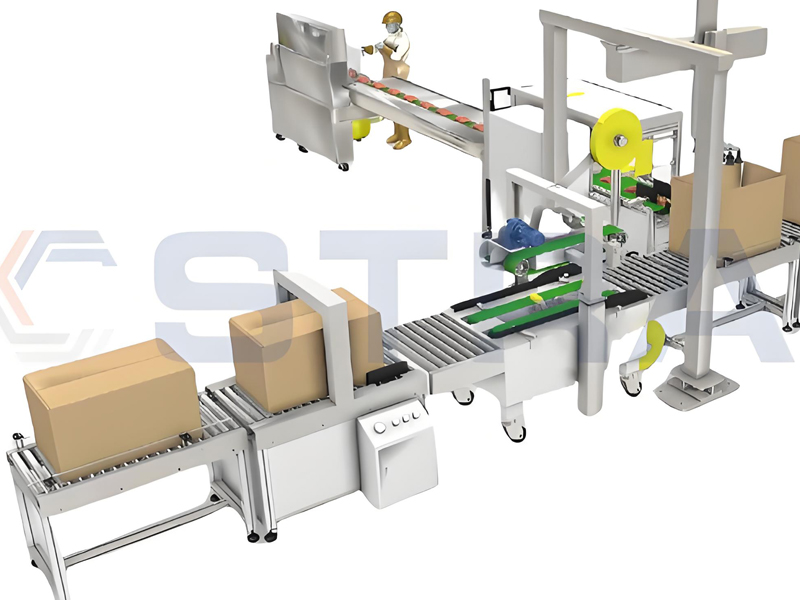 Case Packing and Sealing Line​