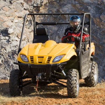 UTV 800CC 2-Seater 4x4 Cvt Automatic (UTV LZ800-1)